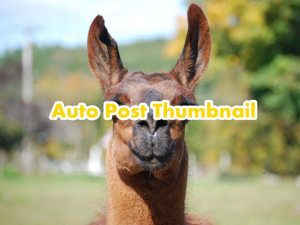 auto-post-thumbnail07