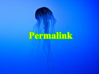 permalink05_2