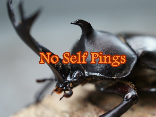 no-self-pings02